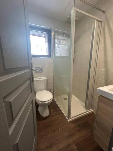 une salle de bain avec toilettes et douche en verre dans l'établissement chalet proche des pistes Ô chalet Dana, à Vars