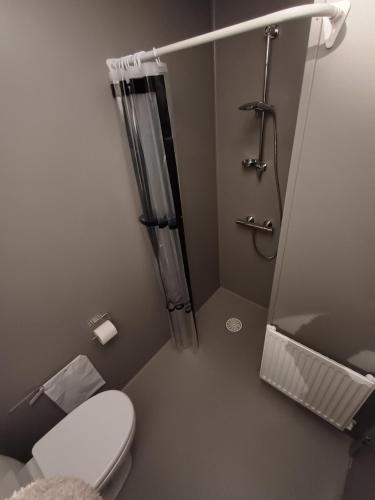 ein kleines Bad mit einer Dusche und einem WC in der Unterkunft Room 5 On Pedestrian Street Sby - Free Parking in Sæby