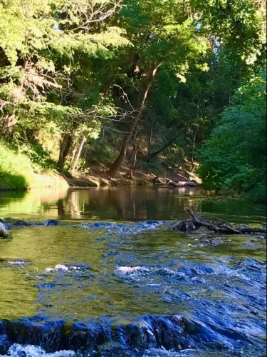 une rivière avec des rochers et des arbres en arrière-plan dans l'établissement La Ressource, à Montfort-sur-Argens
