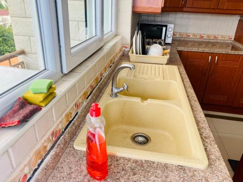 um balcão de cozinha com um lavatório e uma garrafa de refrigerante em Platinum apartment em Dar es Salaam
