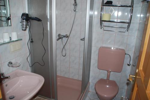 a bathroom with a shower and a toilet and a sink at Ferienwohnung Lahnerhof in Arriach