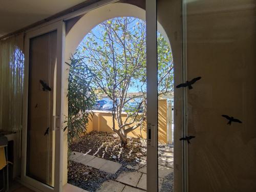 une porte ouverte avec vue sur un arbre à l'extérieur dans l'établissement Villa 16, La Palmeraie, au village naturiste, au Cap d'Agde