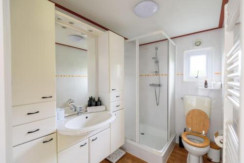 a white bathroom with a toilet and a sink at Prachtige vakantiewoning aan water met grote tuin in Voorthuizen