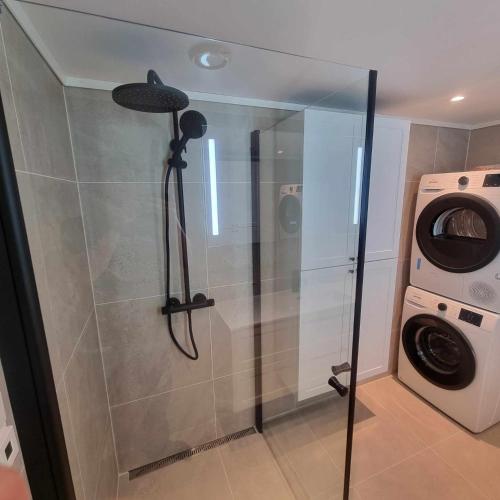 W łazience znajduje się prysznic i pralka. w obiekcie Apartment in the city w mieście Porsgrunn