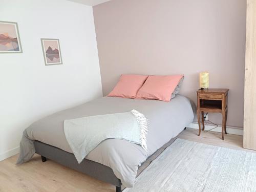 - un lit avec 2 oreillers roses dans l'établissement Élégant, spacieux, 2 couchages, proche centre, à Amiens