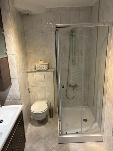 a bathroom with a shower and a toilet at Penthouse Villa Spomenka top floor apartment on central beach in Podgora