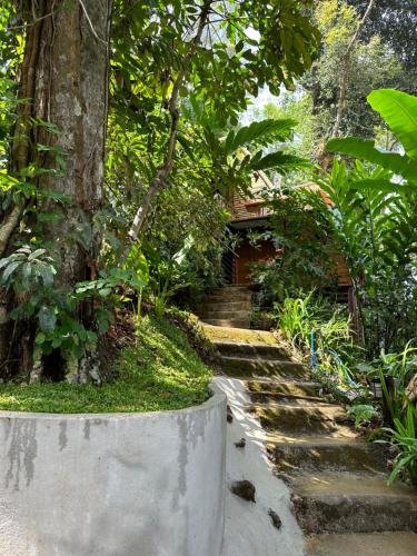Ein Garten an der Unterkunft Portare.home
