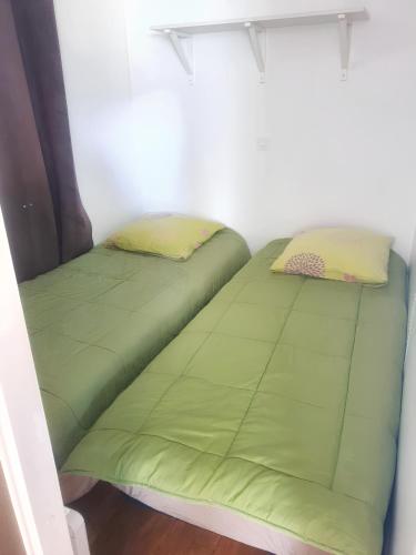 Duas camas num quarto com lençóis e almofadas verdes em Propriete de 3 chambres avec jardin clos a Saint Pierre em Saint-Pierre