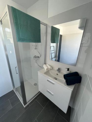 une salle de bain blanche avec une douche et un lavabo dans l'établissement Logement lumineux rénové à neuf, à La Voulte-sur-Rhône