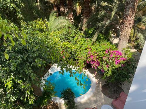 Uma vista da piscina em Dar Heiwa ou nos arredores
