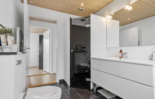 a bathroom with a toilet and a sink at 3 Bedroom Nice Home In Aabenraa in Aabenraa