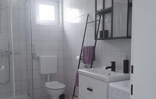 a white bathroom with a toilet and a sink at 2 Bedroom Amazing Home In Valbandon in Štinjan