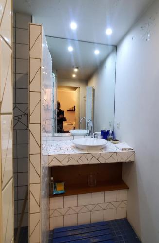 une salle de bain avec un lavabo et un miroir dans l'établissement Une chambre à Paris 20eme avec un petit jardin, à Paris