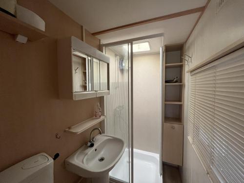 a bathroom with a toilet and a sink and a shower at Bospark Lunsbergen - LB 50 in Borger