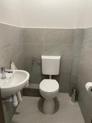 a bathroom with a toilet and a sink at Álom Vendèghàz in Dunaújváros