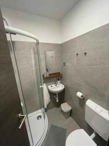 a bathroom with a shower and a toilet and a sink at Álom Vendèghàz in Dunaújváros