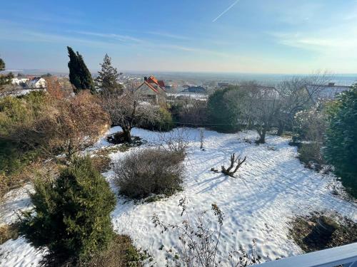 a snow covered yard with trees and bushes at Villa Vista Pannonia in Donnerskirchen