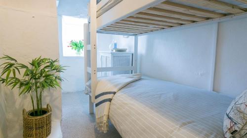 a bedroom with a bed and a plant at Hen Dafarn in Nefyn