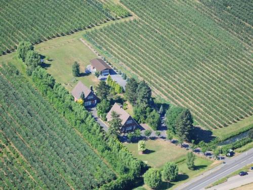 Příroda nedaleko apartmánu