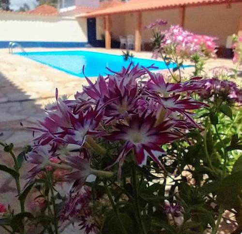 a bunch of purple flowers in front of a pool at Pousada Pico do Papagaio in Aiuruoca