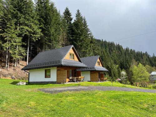 a house in the middle of a field with trees at LEŚNE ZACISZE OCHOTNICA in Ochotnica Górna