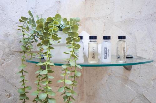 a shelf with bottles of soap and a plant at Garden By The Sea in Sosúa