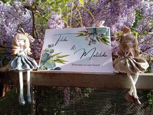 Κήπος έξω από το Tilda&Matilda