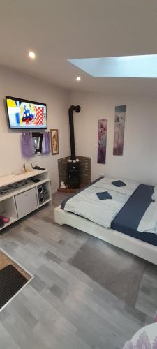 Apartma Lavanda في Dramlje: غرفة نوم بسرير وتلفزيون بشاشة مسطحة