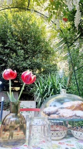 La stanza degli abeti blu photo 15