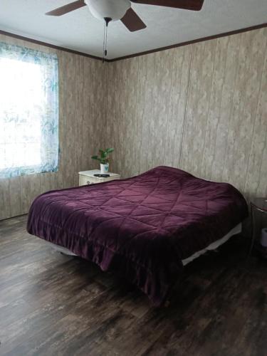 a bedroom with a purple bed and a ceiling fan at Peaceful home in Rome