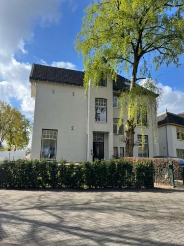 a white house with a tree in front of it at Luxe kamer in stadsvilla, gratis parkeren! in Apeldoorn