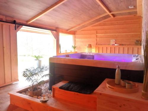 a large blue tub in a wooden room at Le Hameau de Galice in Saint-Sernin