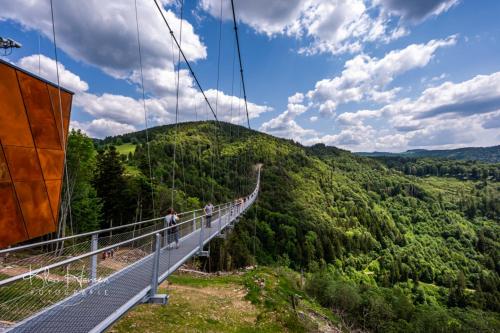 Apartment 15 - Ferienresidenz Roseneck, Galeriewohnung, mit Schwimmbad in Todtnauberg bei Feldberg في تودتنوبرغ: مجموعة من الناس على جسر معلق فوق جبل