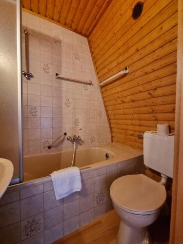 a bathroom with a toilet and a bath tub at Weingut Badischer Hof in Weiler