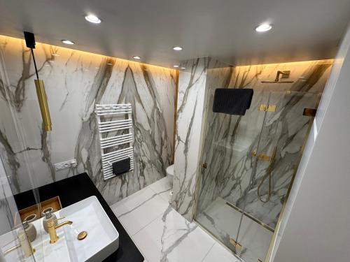 een badkamer met een douche en een wastafel bij Elegant Apartment Minutes from Paris in Issy-les-Moulineaux