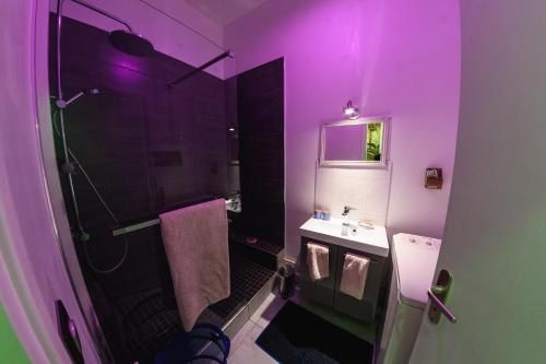 La salle de bains violette est pourvue d'un lavabo et d'une douche. dans l'établissement Proche centre, 2 couchages, calme, lumineux, à Amiens