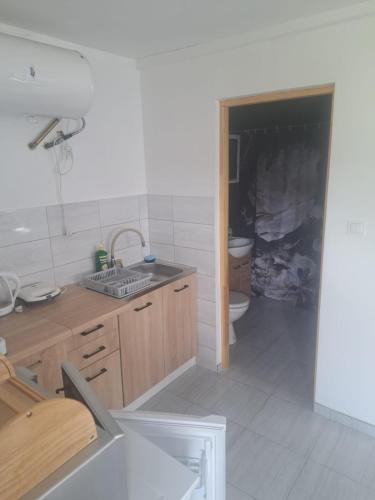 een keuken met een wastafel en een toilet in een kamer bij Mieszkanie Nowa Łomnica in Duszniki Zdrój