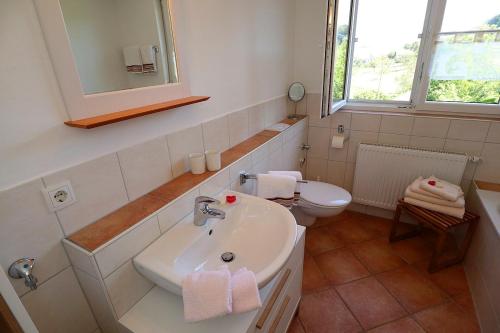 uma casa de banho com um lavatório e um WC em Budererhof em Freiamt