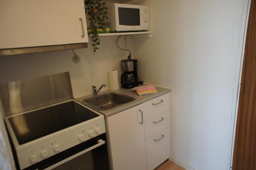 uma pequena cozinha com um lavatório e um micro-ondas em (id038) Gormsgade 96 3 sal dør 13 em Esbjerg