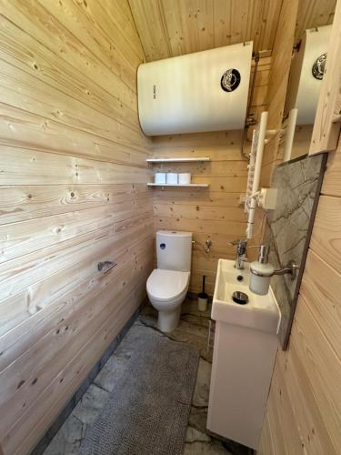 a bathroom with a toilet and a sink at DOMKI NAD STAWEM in Kazimierz Dolny