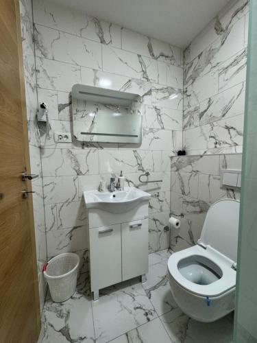 La salle de bains blanche est pourvue de toilettes et d'un lavabo. dans l'établissement Aparmani Karanovic, à Zavidovići