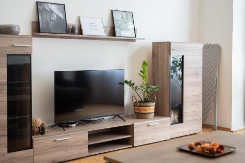 a living room with a television on a wooden entertainment center at Prague - Karlin Apartments in Prague