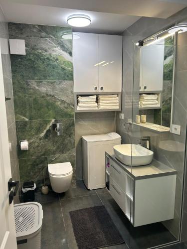 a bathroom with a toilet and a sink at Coquette Studio Central in Oradea
