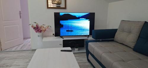 a living room with a couch and a flat screen tv at Apartment Elena in Herceg-Novi
