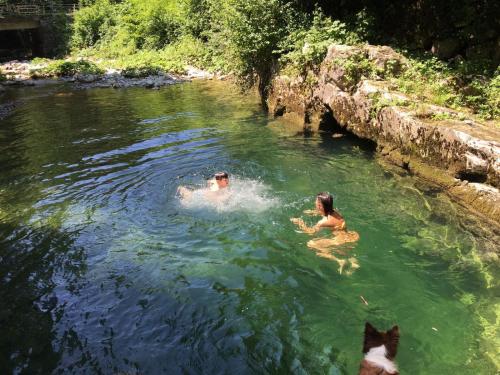 a man and a woman swimming in a river with a dog at Mulino Baiar in Stregna