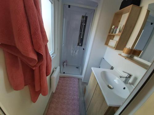 ein Badezimmer mit Waschbecken und Dusche in der Unterkunft BUNGALOW - Cap Ferret in Lège-Cap-Ferret