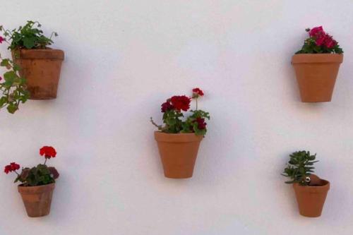 four flower pots on a wall with flowers in them at Stylish and comfortable one bedroom with sea view in Torremolinos