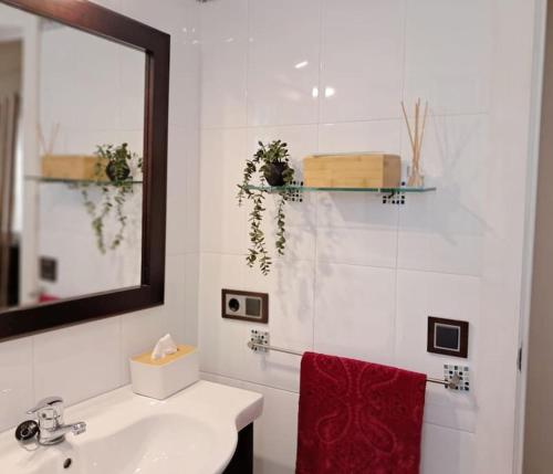 baño con lavabo y toalla roja en Encantador Apartamento en Vejer, en Vejer de la Frontera