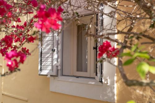 a window on a building with pink flowers at Bungalows Casa Amarilla in Playa Migjorn