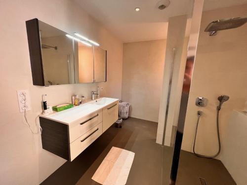 une salle de bain avec un lavabo, un miroir et une douche dans l'établissement VILLA de charme avec piscine et jardin en bord de mer, à Saint-Cyprien